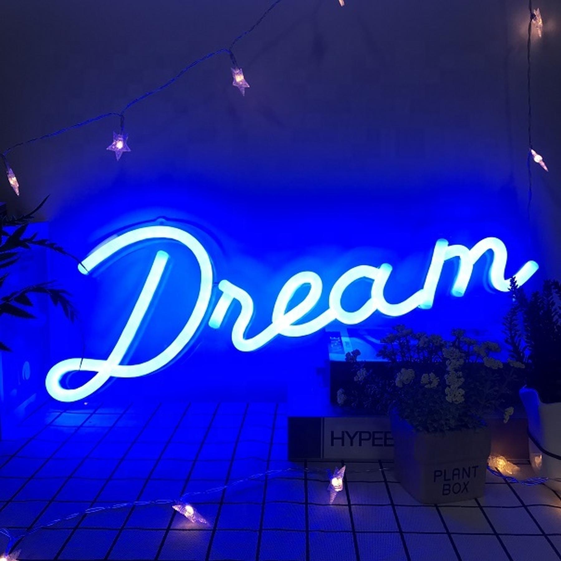 NEON LED Licht, dekorative Wand-Leuchte, Dream Schriftzug blau, ca