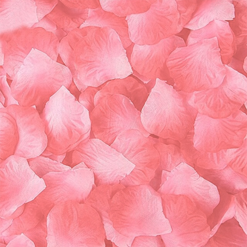 Rosenblätter 100er Packung - Rosa blass