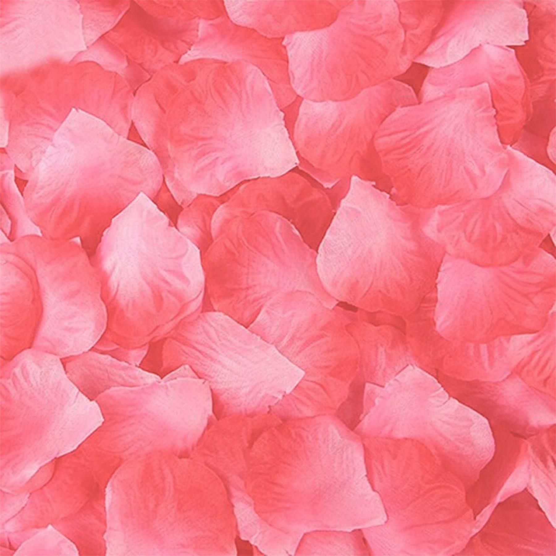 Rosenblätter 100er Packung - Rosa