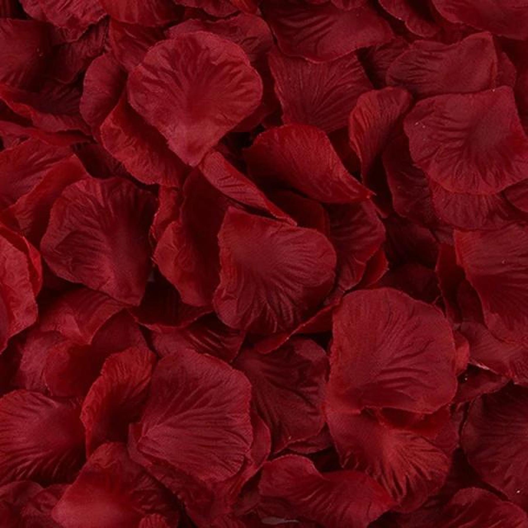 Rosenblätter 100er Packung - Rot - Bordeaux